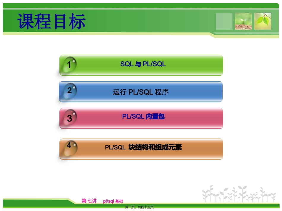 oracle第七讲plsql剖析_第2页
