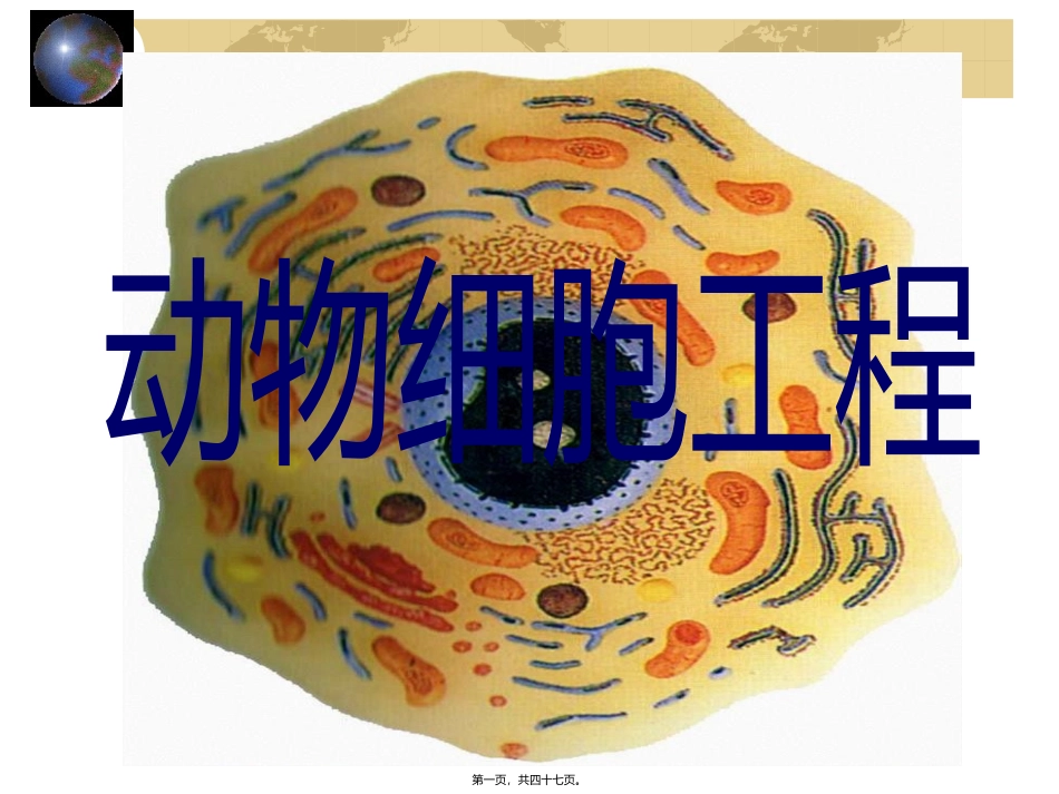 YY动物细胞工程12.ppt_第1页