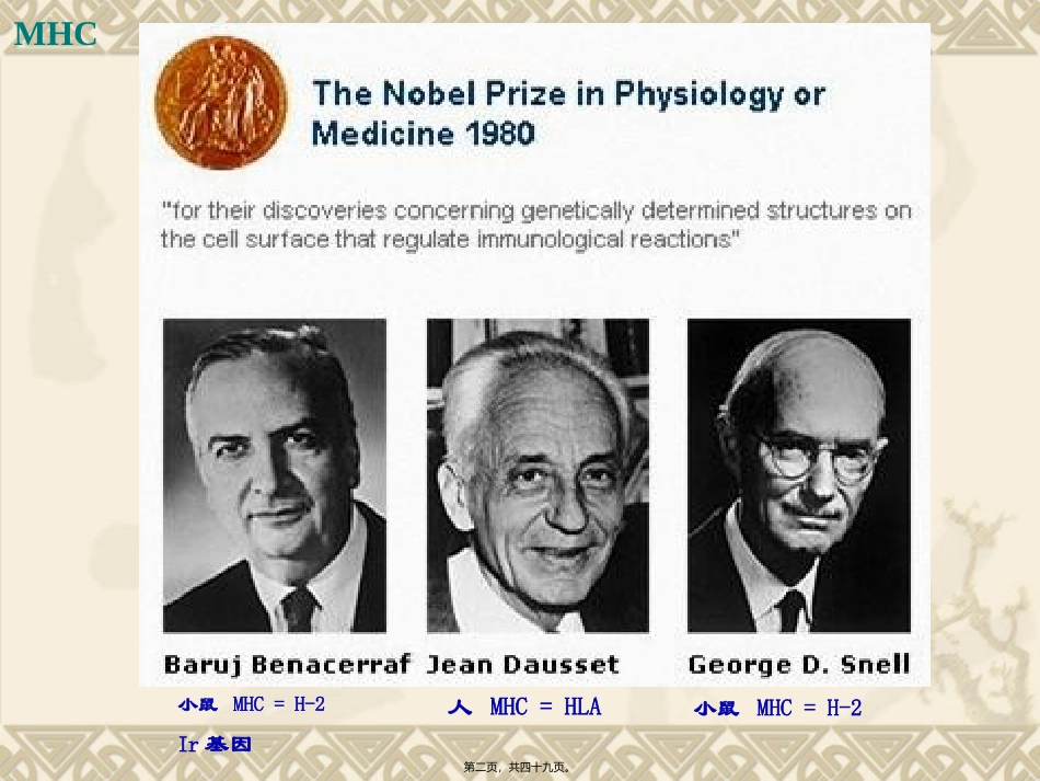8-主要组织相容性复合体及其编码分子.jsp_第2页