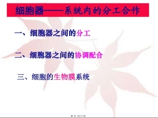 y细胞器—系统内的分工合作