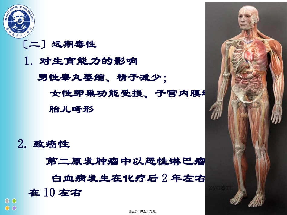 ZCZ-化疗常见毒副反应及处理_第3页