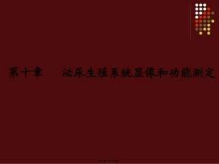 zhz-第10章泌尿生殖系统显像