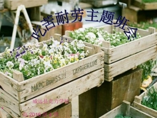 吃苦耐劳主题班会