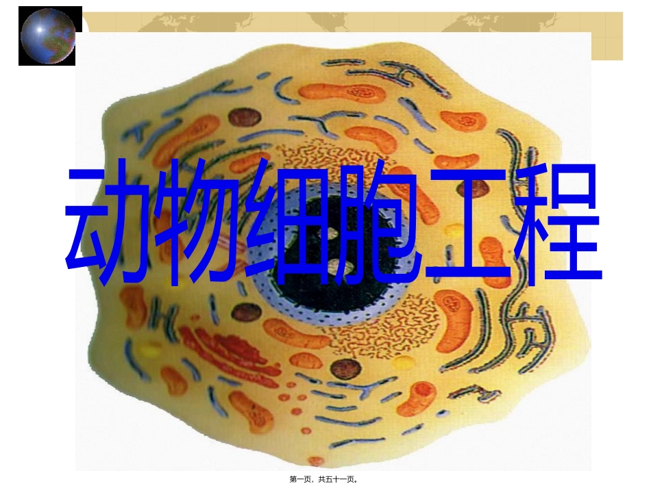 z动物细胞工程12.ppt_第1页