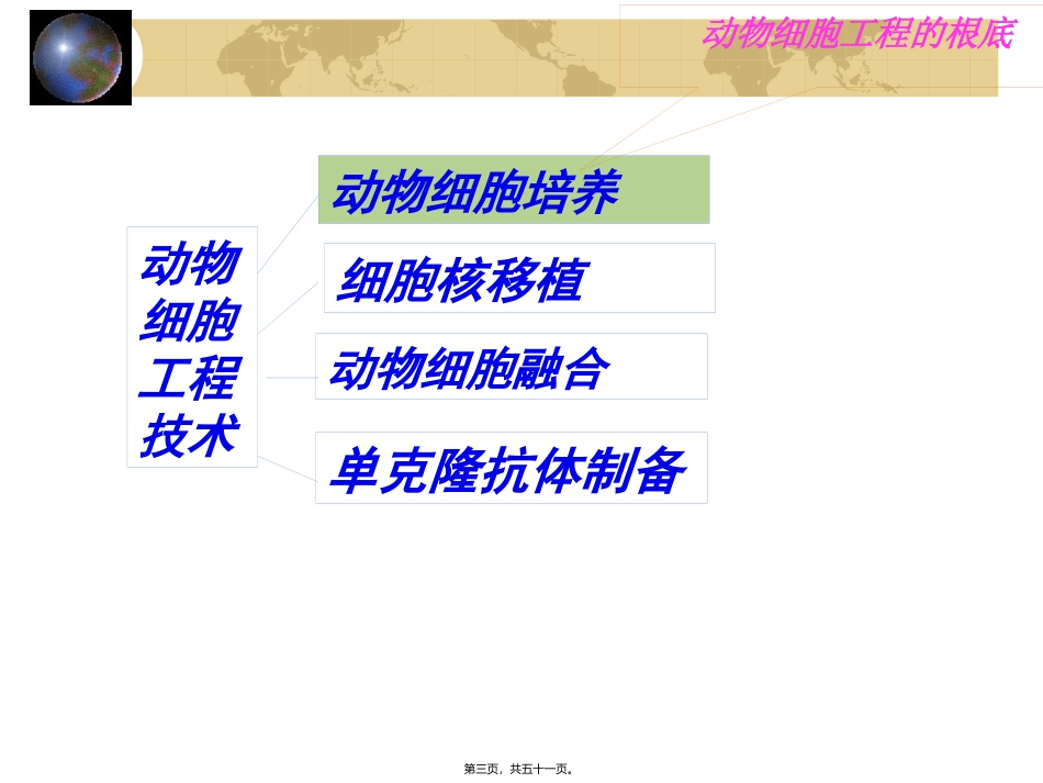 z动物细胞工程12.ppt_第3页