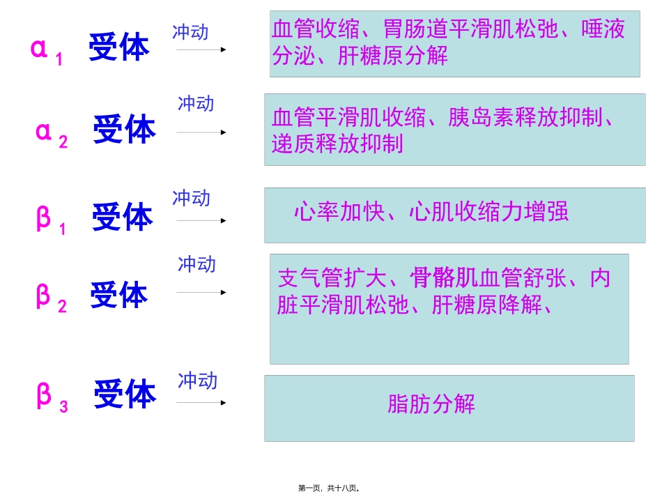 α激动药、β--激动药指导_第1页
