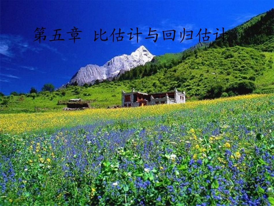 抽样调查——比估计._第1页