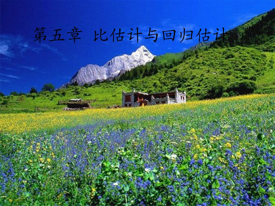 抽样调查——比估计_第1页
