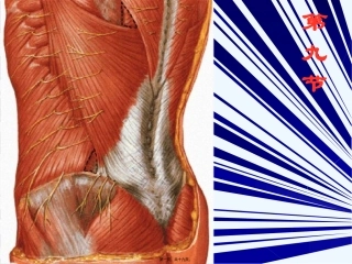 9、急性腰部扭挫伤