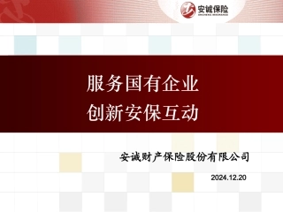 081125安保互动国资座谈会