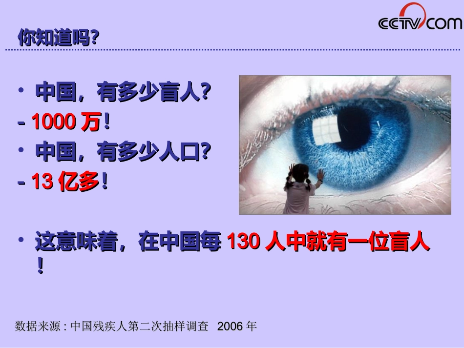 090414央视网无障碍网站合作建设方案(定版修改)_第2页