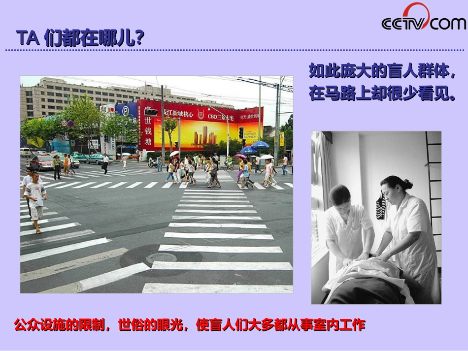 090414央视网无障碍网站合作建设方案(定版修改)_第3页