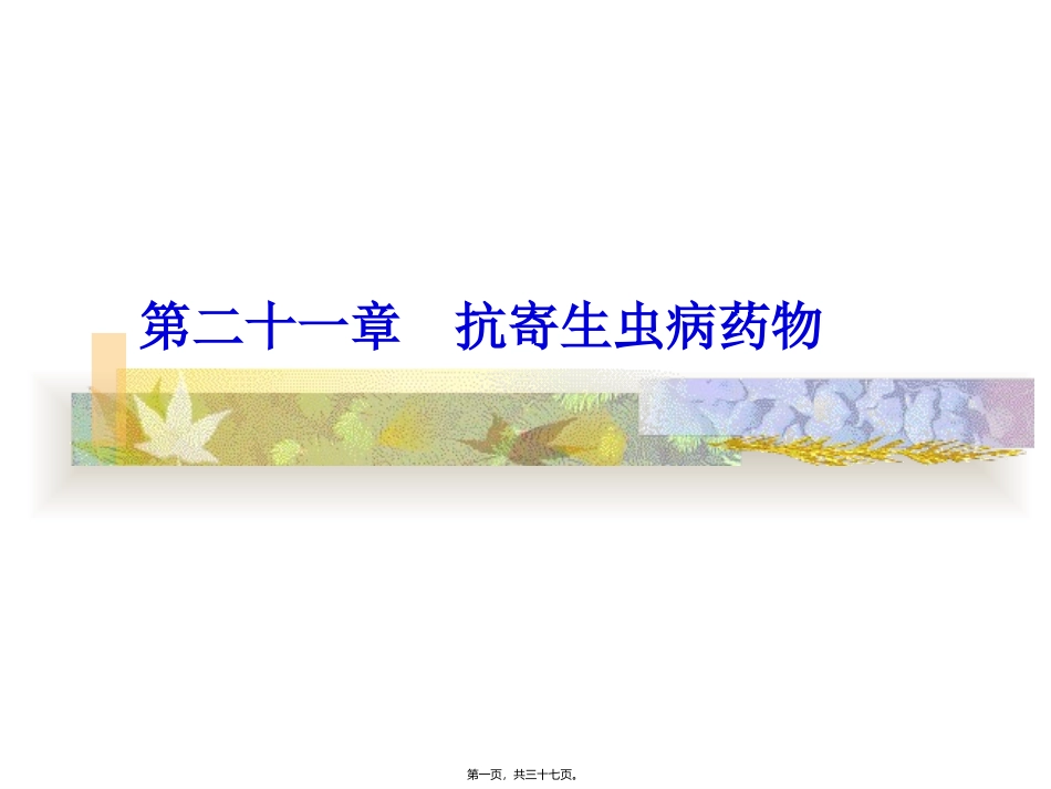 40.-第21章-抗寄生虫药完_第1页