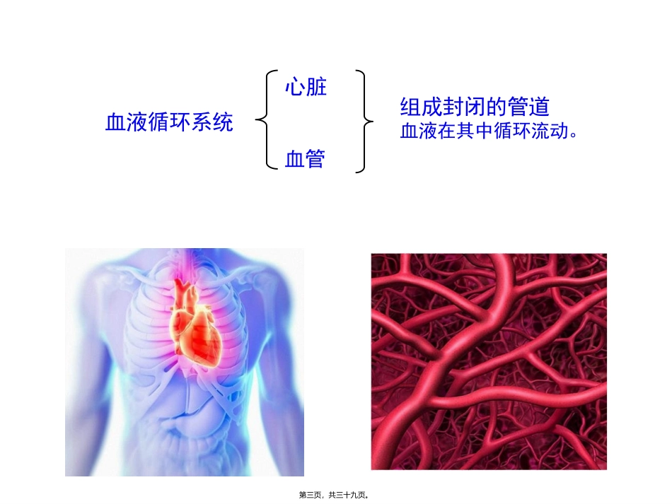 9.1-血液_第3页