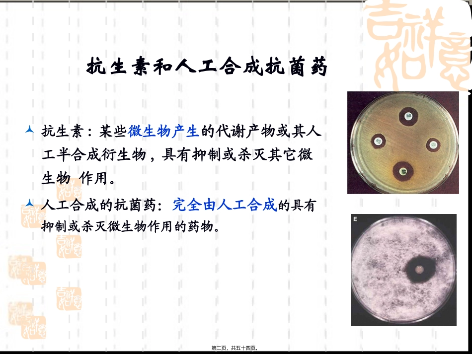 42人工合成抗菌药_第2页