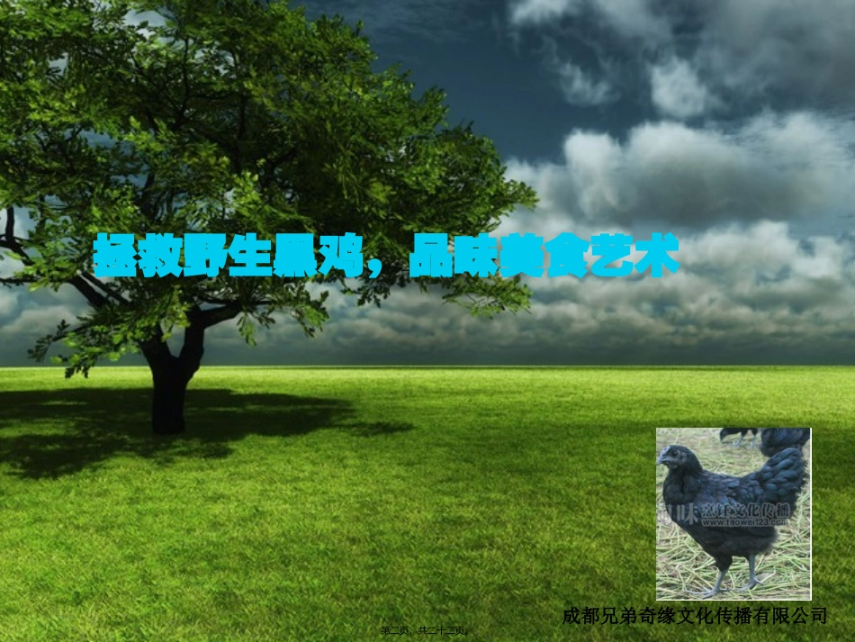 厨师才艺活动_第2页