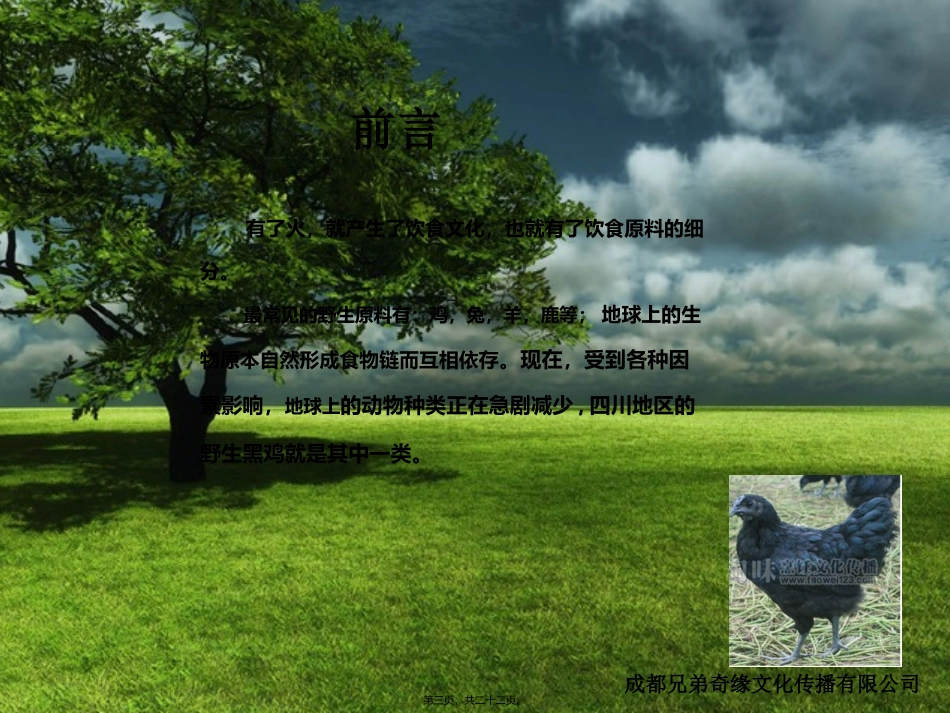 厨师才艺活动_第3页