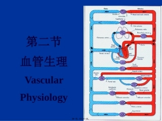 9.2-血管生理