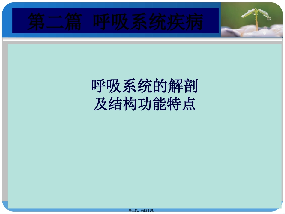 9.13急性上呼吸道感染_第3页