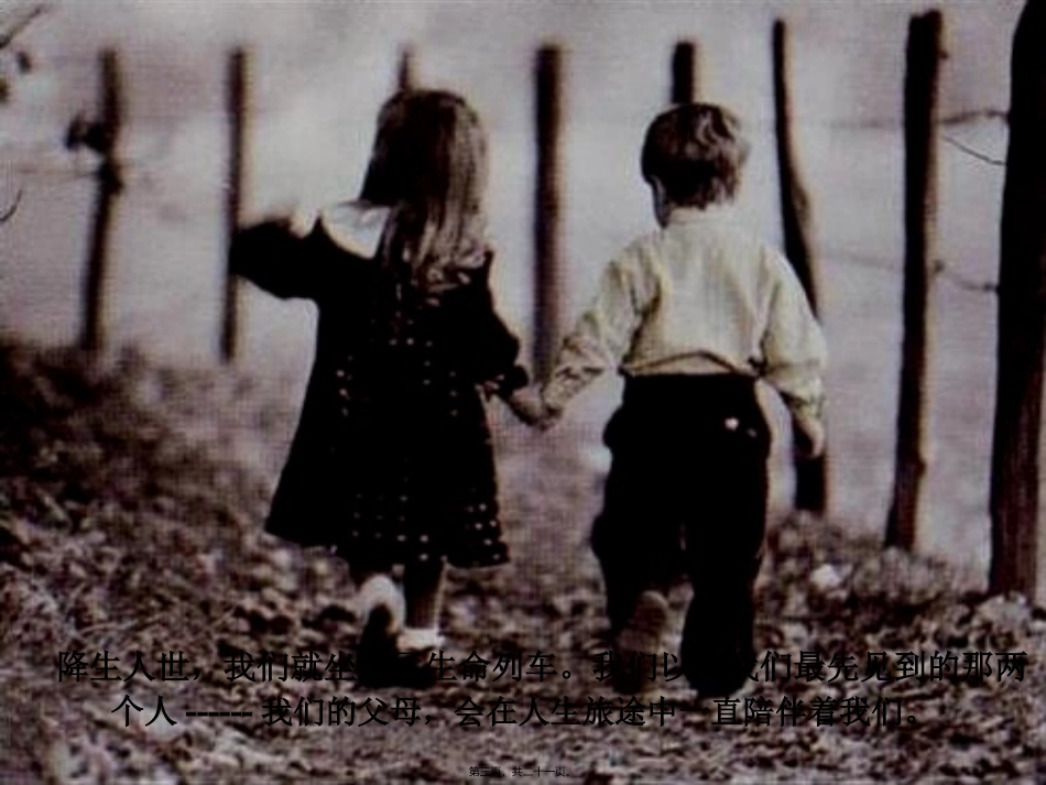 44：生命的列车_第3页