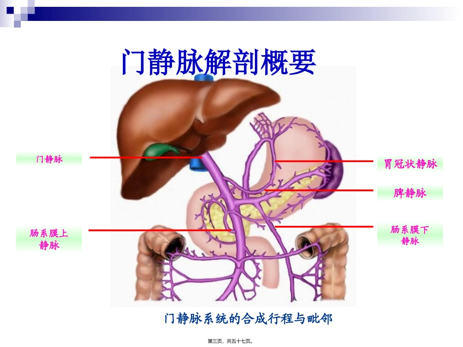 48第48章门静脉高压症(陈孝平)-56页PPT资料_第3页