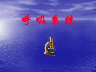 48学时系解-呼吸系统