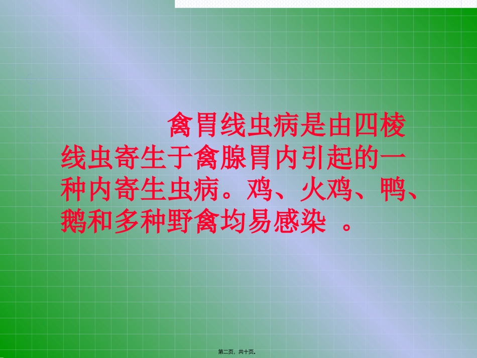 49禽胃线虫病_第2页