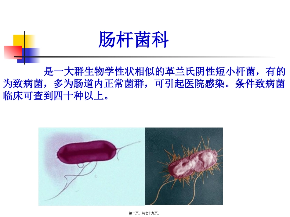 9肠道感染细菌_第2页