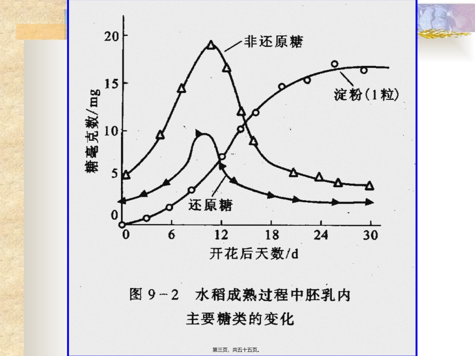 9成熟和衰老生理_第3页