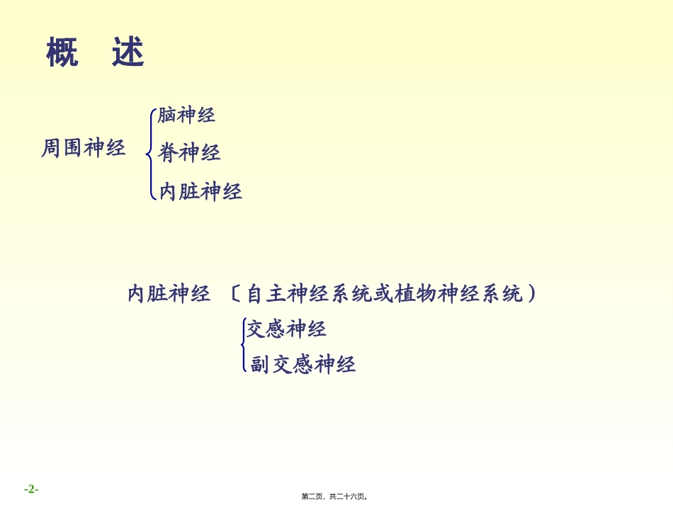 52-周围神经系统脑、脊神经_第2页