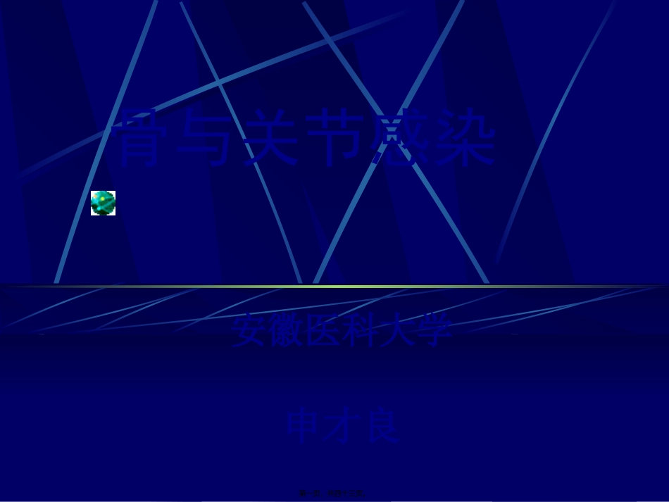 53-骨与关节感染-申才良_第1页