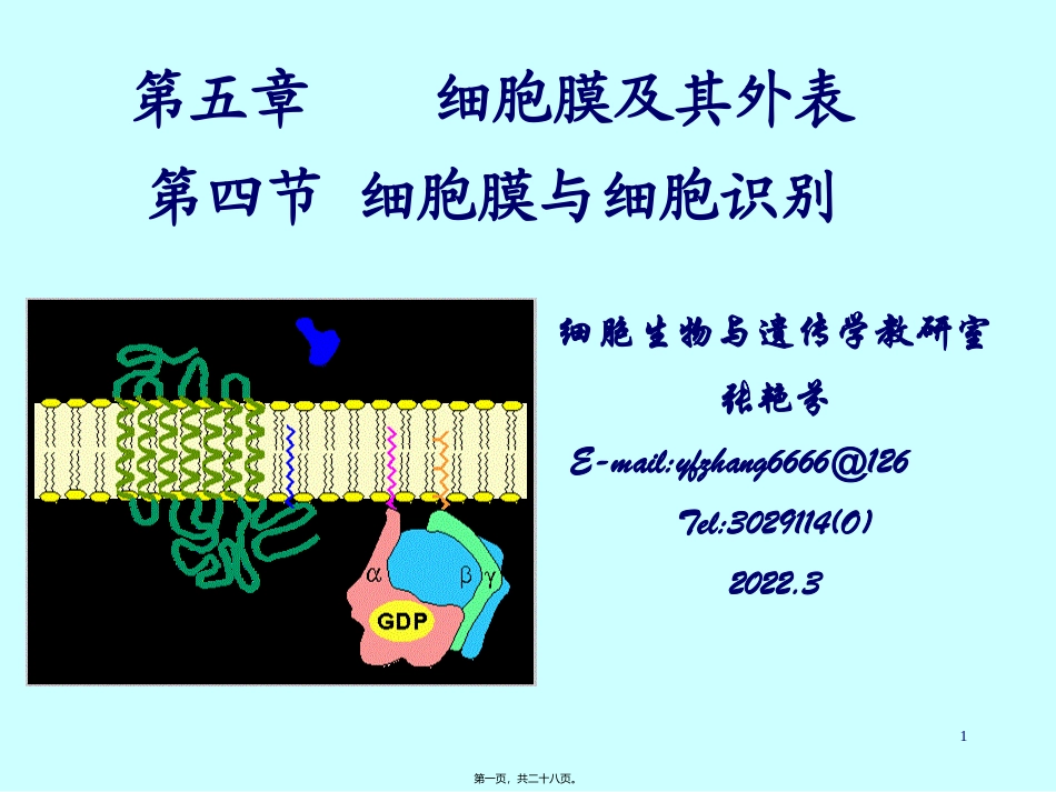 54-膜受体与细胞识别课稿_第1页