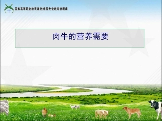 61肉牛的营养需要.