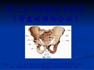 9第十三节--骶髂关节扭伤