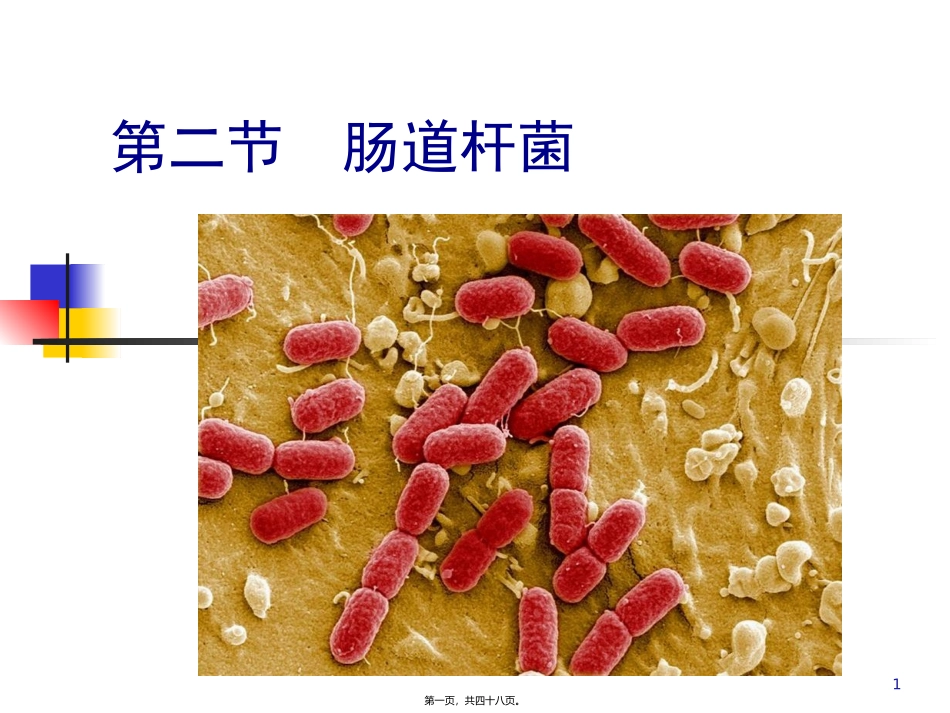 9第五章第二节肠道杆菌_第1页