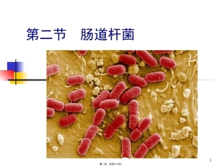 9第五章第二节肠道杆菌