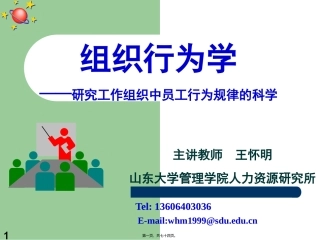 20090926192648-第一讲-组织行为学概述(修订版)