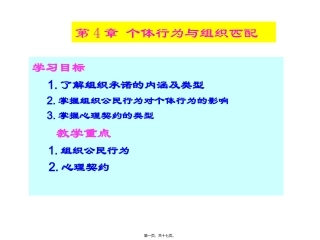 第4章-个体行为与组织匹配