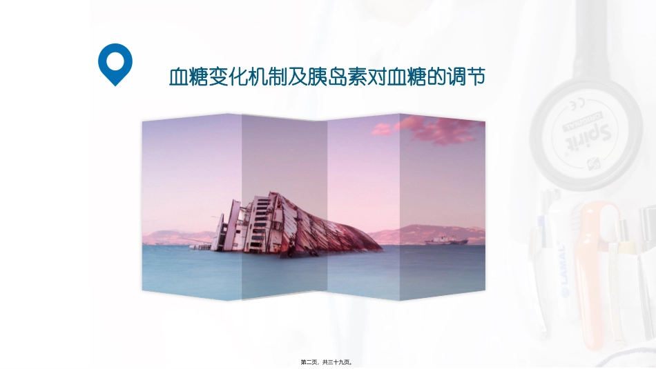 Ⅱ型糖尿病之胰岛素抵抗(最终)_第2页