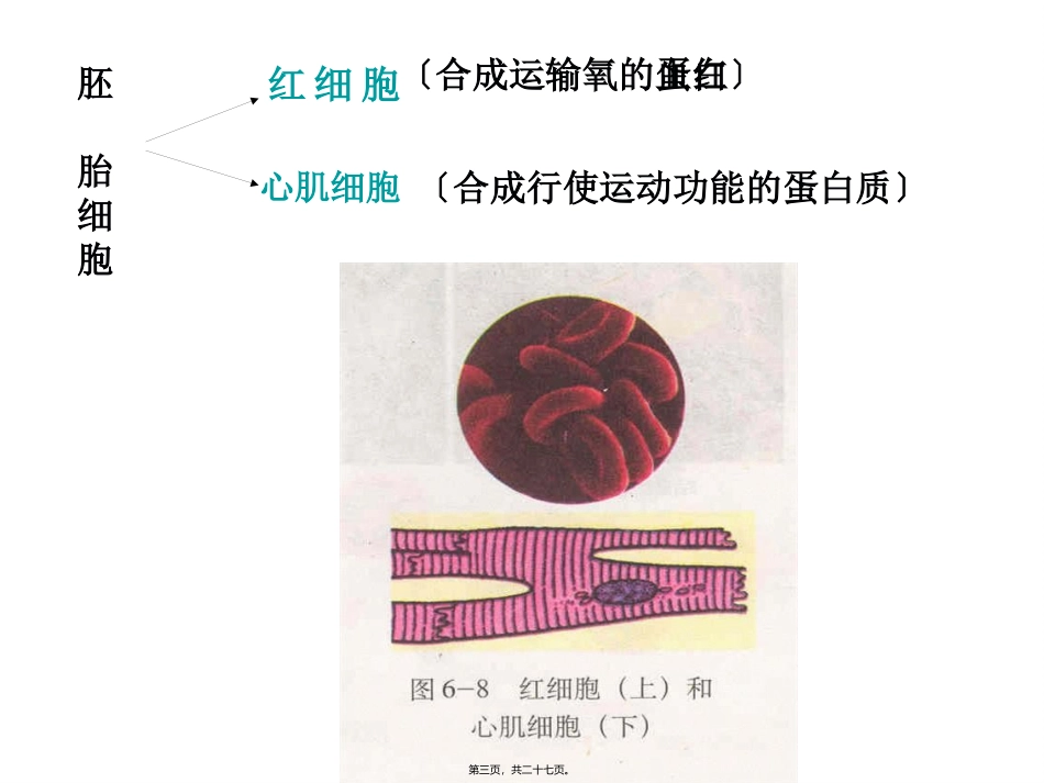 A.细胞分化是遗传物质改变的结果B._第3页