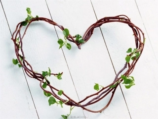 爱集体主题班会