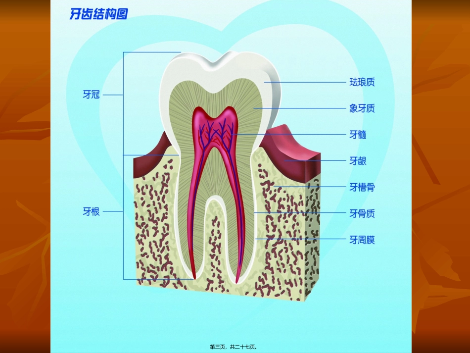 爱牙护齿主题班会PPT_第3页