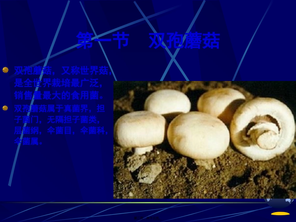 第5讲-草腐型食用菌的栽培_第2页