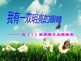 爱眼日主题班会