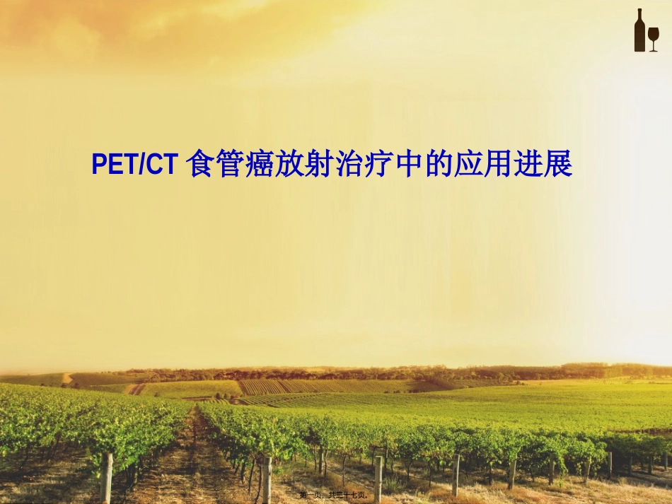 PET-CT在食管癌放疗中的进展_第1页
