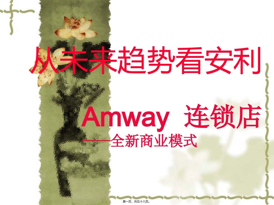 安利OPP精讲_第1页