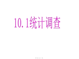 10.1统计调查(1)ppt