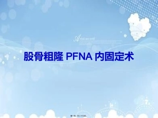 PFNA内固定术