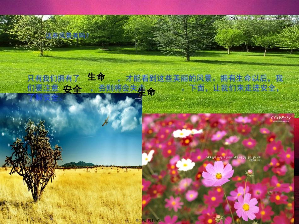 安全伴我行主题班会ppt_第2页