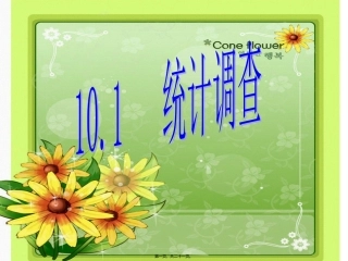 10.1统计调查(一)
